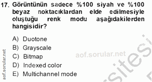 17. soru: Görüntünün sadece %100 siyah ve %100 beyaz noktacıklardan elde edilmesiyle oluş tuğu renk modu aşağıdakilerden hangis…