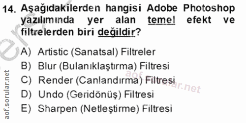 14. soru: Aşağıdakilerden hangisi Adobe Photoshop yazılımında yer alan temel efekt ve filtrelerden biri değildir? A) Artistic (…