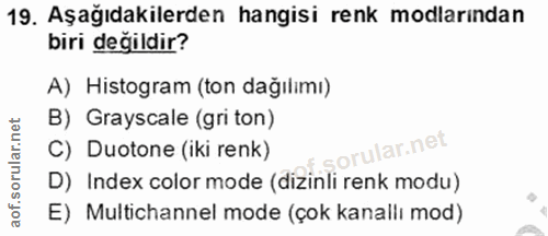 19. soru: Aşağıdakilerden hangisi renk modlarından biri değildir? A) Histogram (ton dağılımı) B) Grayscale (gri ton) C) Duotone…