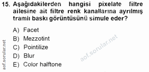 15. soru: Aşağıdakilerden hangisi pixelate filtre ailesine ait filtre renk kanallarına ayrılmış tramlı baskı görüntüsünü simule…