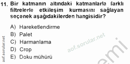 11. soru: Bir katmanın altındaki katmanlarla farklı filtrelerle etkileşim kurmasını sağlayan seçenek aşağıdakilerden hangisidir…