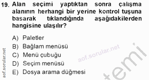 19. soru: Alan seçimi yaptıktan sonra çalişma alanının herhangi bir yerine kontrol tuşuna basarak tıklandığında aşağıdakilerden…