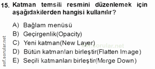15. soru: Katman temsili resmini düzenlemek için aşağıdakilerden hangisi kullanılır? A) Bağlam menüsü B) Geçirgenlik(Opacity) C…