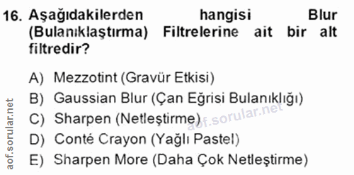 16. soru: Aşağıdakilerden hangisi Blur (Bulanıklaştırma) Filtrelerine ait bir alt filtredir? A) Mezzotint (Gravür Etkisi) B) Ga…