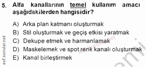 5. soru: Alfa kanallarının temel kullanım amacı aşağıdakilerden hangisidir? A) Arka plan katmanı oluşturmak B) Stil oluşturmak…