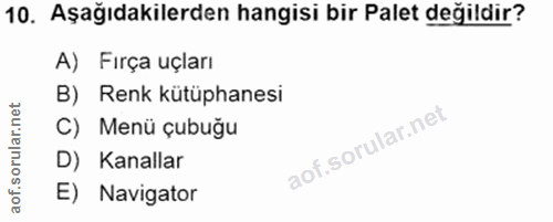 10. soru: Aşağıdakilerden hangisi bir Palet değildir? A) Fırça uçları B) Renk kütüphanesi C) Menü çubuğu D) Kanallar E) Navigator