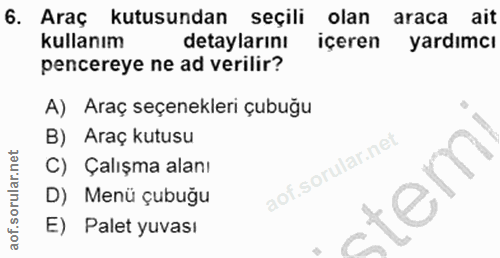 6. soru: Araç kutusundan seçili olan araca ait kullanım detaylarını içeren yardımcı pencereye ne ad verilir? A) Araç seçenekle…