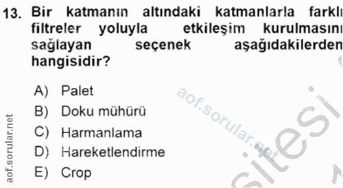 13. soru: Bir katmanın altındaki katmanlarla farklı filtreler yoluyla etkileşim kurulmasını sağlayan seçenek aşağıdakilerden ha…