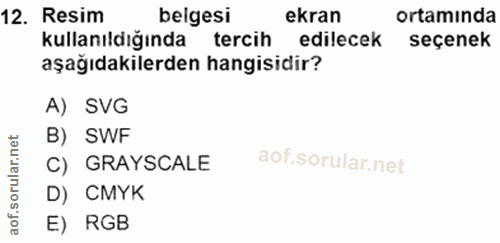 12. soru: Resim belgesi ekran ortamında kullanıldığında tercih edilecek seçenek aşağıdakilerden hangisidir? A) SVG B) SWF C) GR…