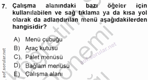 7. soru: Çalışma alanındaki bazı öğeler için kullanılabilen ve sağ tıklama ya da kısa yol olarak da adlandırılan menü aşağıdak…