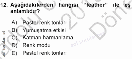 12. soru: Aşağıdakilerden hangisi. "feather" ile es anlamlıdır? A) Pastel renk tonları B) Yumuşatma etkisi C) Katman harmanlama…