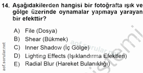 14. soru: Aşağıdakilerden hangisi bir fotoğrafta ışık ve gölge üzerinde oynamalar yapmaya yarayan bir efekttir? A) File (Dosya)…