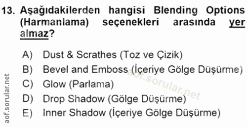 13. soru: Aşağıdakilerden hangisi Blending Options (Harmanlama) seçenekleri arasında yer almaz? A) Dust & Scrathes (Toz ve Çizi…