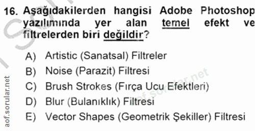 16. soru: Aşağıdakilerden hangisi Adobe Photoshop yazılımında yer alan temel efekt ve filtrelerden biri değildir? A) Artistic (…