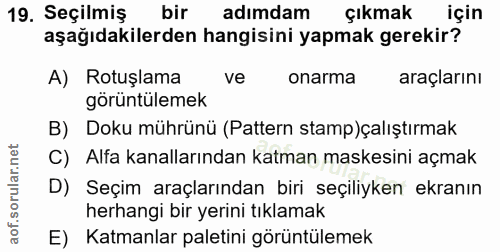 19. soru: Seçilmiş bir adimdam çıkmak için aşağıdakilerden hangisini yapmak gerekir? A) Rotuşlama ve onarma araçlarını görüntül…
