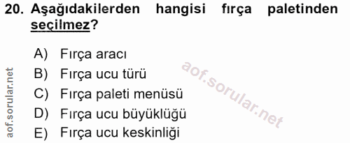 20. soru: Aşağıdakilerden hangisi fırça paletinden seçilmez? A) Firça aracı B) Firça ucu türü C) Fırça paleti menüsü D) Fırça u…