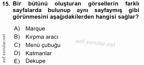 15. soru: Bir bütünü oluşturan görsellerin farklı sayfalarda bulunup aynı sayfaymış gibi görünmesini aşağıdakilerden hangisi sa…