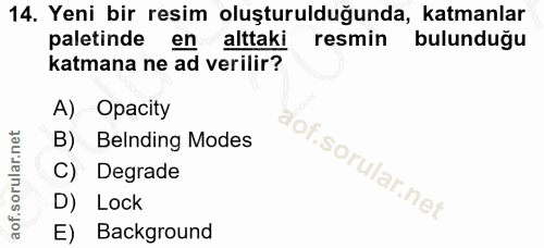 14. soru: Yeni bir resim oluşturulduğunda, katmanlar paletinde en alttaki resmin bulunduğu katmana ne ad verilir? A) Opacity B)…