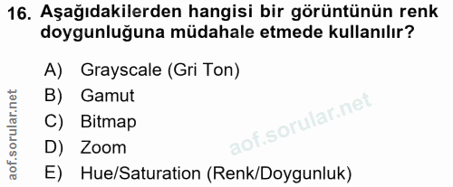 16. soru: Aşağıdakilerden hangisi bir görüntünün renk doygunluğuna müdahale etmede kullanılır? A) Grayscale (Gri Ton) B) Gamut…