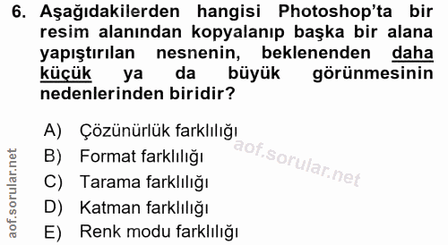 6. soru: Aşağıdakilerden hangisi Photoshop'ta bir resim alanından kopyalanıp başka bir alana yapıştırılan nesnenin, beklenende…