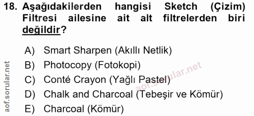 18. soru: Aşağıdakilerden hangisi Sketch (Çizim) Filtresi ailesine ait alt filtrelerden biri değildir? A) Smart Sharpen (Akıllı…