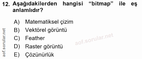 12. soru: Aşağıdakilerden hangisi "bitmap" ile eş anlamlıdır? A) Matematiksel çizim B) Vektörel görüntü C) Feather D) Raster gö…