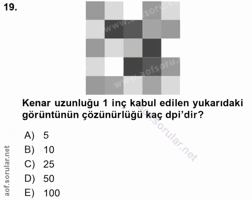 19. soru: WWWD Kenar uzunluğu 1 inç kabul edilen yukarıdaki görüntünün çözünürlüğü kaç dpi'dir? A) 5 B) 10 C) 25 D) 50 E) 100