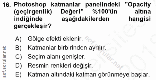 16. soru: Photoshop katmanlar Değeri* %tondeki "Opacity (geçirgenlik) %100'ün altına indiğinde aşağıdakilerden hangisi gerçekle…