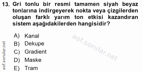 13. soru: Gri tonlu bir resmi tamamen siyah beyaz tonlarına indirgeyerek nokta veya çizgilerden oluşan farklı yarım ton etkisi…