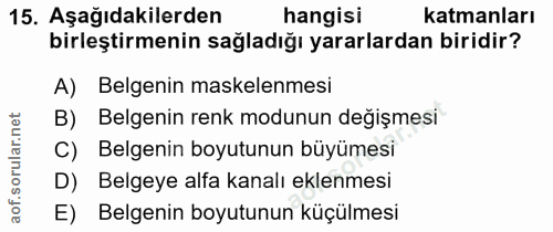 15. soru: Aşağıdakilerden hangisi katmanları birleştirmenin sağladığı yararlardan biridir? A) Belgenin maskelenmesi B) Belgenin…