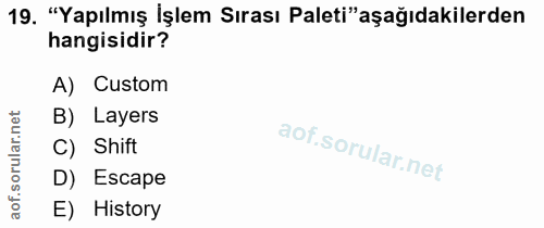 19. soru: "Yapılmış İşlem Sırası Paleti"aşağıdakilerden hangisidir? A) Custom B) Layers ar. C) Shift D) Escape aof. E) History