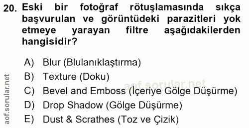 20. soru: Eski bir fotoğraf rötuşlamasında sıkça başvurulan ve görüntüdeki parazitleri yok etmeye yarayan filtre aşağıdakilerde…