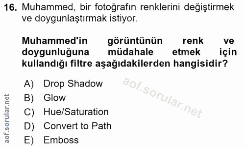 16. soru: Muhammed, bir fotoğrafin renklerini değiştirmek ve doygunlaştırmak istiyor. Muhammed'in görüntünün renk ve doygunluğu…