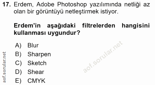 17. soru: Erdem, Adobe Photoshop yazılımında netliği az olan bir görüntüyü netleştirmek istiyor. Erdem'in aşağıdaki filtrelerde…