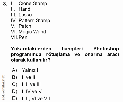 8. soru: I. Clone Stamp II. Hand III. Lasso IV. Pattern Stamp V. Patch VI. Magic Wand VIl. Pen Yukarıdakilerden hangileri Phot…