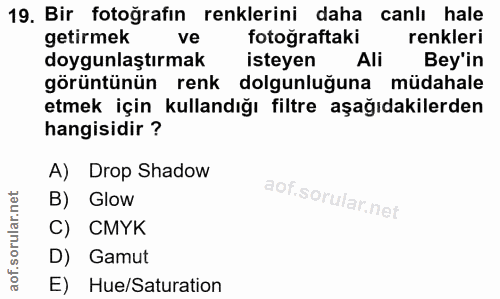 19. soru: Bir fotoğrafın renklerini daha canlı hale getirmek ve fotoğraftaki renkleri doygunlaştırmak isteyen Ali Bey'in görünt…