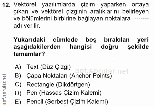 12. soru: Vektörel yazılımlarda çizim yaparken ortaya çıkan ve vektörel çizginin aralıklarını belirleyen ve bölümlerini birbiri…