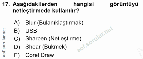 17. soru: Aşağıdakilerden hangisi görüntüyü netleştirmede kullanılır? A) Blur (Bulanıklaştırmak) B) USB C) Sharpen (Netleştirme…