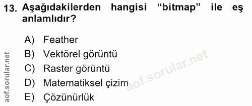 13. soru: Aşağıdakilerden hangisi "bitmap" ile eş anlamlıdır? A) Feather B) Vektörel görüntü D) Matematiksel çizim of. C) Raste…