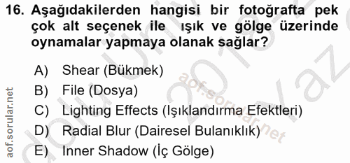 16. soru: Aşağıdakilerden hangisi bir fotoğrafta pek çok alt seçenek ile ışık ve gölge üzerinde oynamalar yapmaya olanak sağlar…