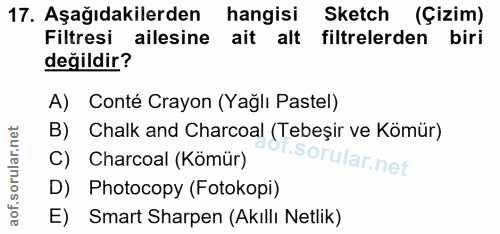 17. soru: Aşağıdakilerden hangisi Sketch (Çizim) Filtresi ailesine ait alt filtrelerden biri değildir? A) Conté Crayon (Yağlı P…