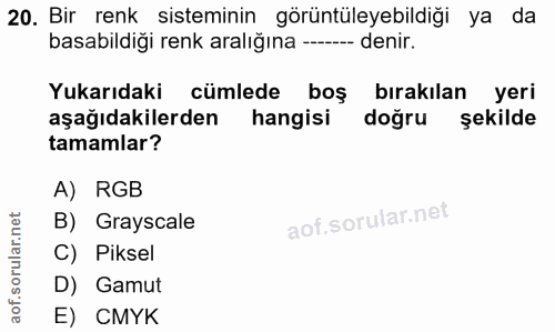 20. soru: Bir renk sisteminin görüntüleyebildiği ya da basabildiği renk aralığına ----- denir. Yukarıdaki cümlede boş bırakılan…
