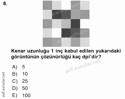 8. soru: Kenar uzunluğu 1 inç kabul edilen yukarıdaki görüntünün çözünürlüğü kaç dpi'dir? A) B) 10 C) 25 D) 50 E) 100