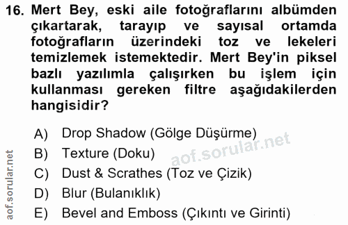 16. soru: Mert Bey, eski aile fotoğraflarını albümden çıkartarak, tarayıp ve sayısal ortamda fotografların üzerindeki toz ve le…