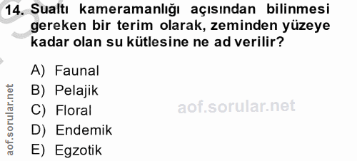 14. soru: Sualtı kameramanlığı açısından bilinmesi gereken bir terim olarak, zeminden yüzeye kadar olan su kütlesine ne ad veri…