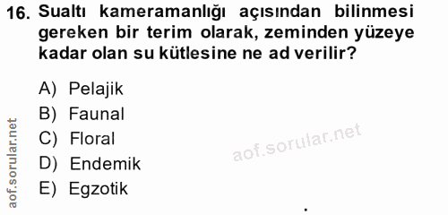 16. soru: Sualtı kameramanlığı açısından bilinmesi gereken bir terim olarak, zeminden yüzeye kadar olan su kütlesine ne ad veri…