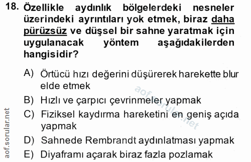 18. soru: Özellikle aydınlık bölgelerdeki nesneler üzerindeki ayrıntıları yok etmek, biraz daha pürüzsüz ve düşsel bir sahne ya…
