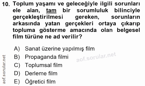 10. soru: Toplum yaşamı ve geleceğiyle ilgili sorunları ele alan, tam bir sorumluluk bilinciyle gerçekleştirilmesi gereken, sor…