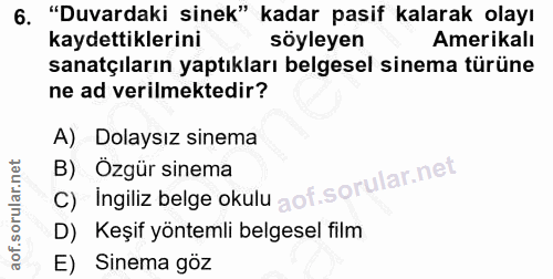 6. soru: "Duvardaki sinek" kadar pasif kalarak olayı kaydettiklerini söyleyen Amerikalı sanatçıların yaptıkları belgesel sinem…