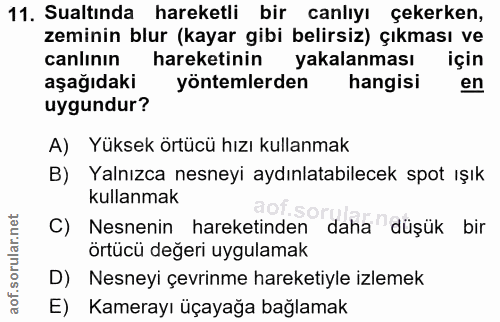 11. soru: Sualtında hareketli bir canlıyı çekerken, zeminin blur (kayar gibi belirsiz) çıkması ve canlının hareketinin yakalanm…